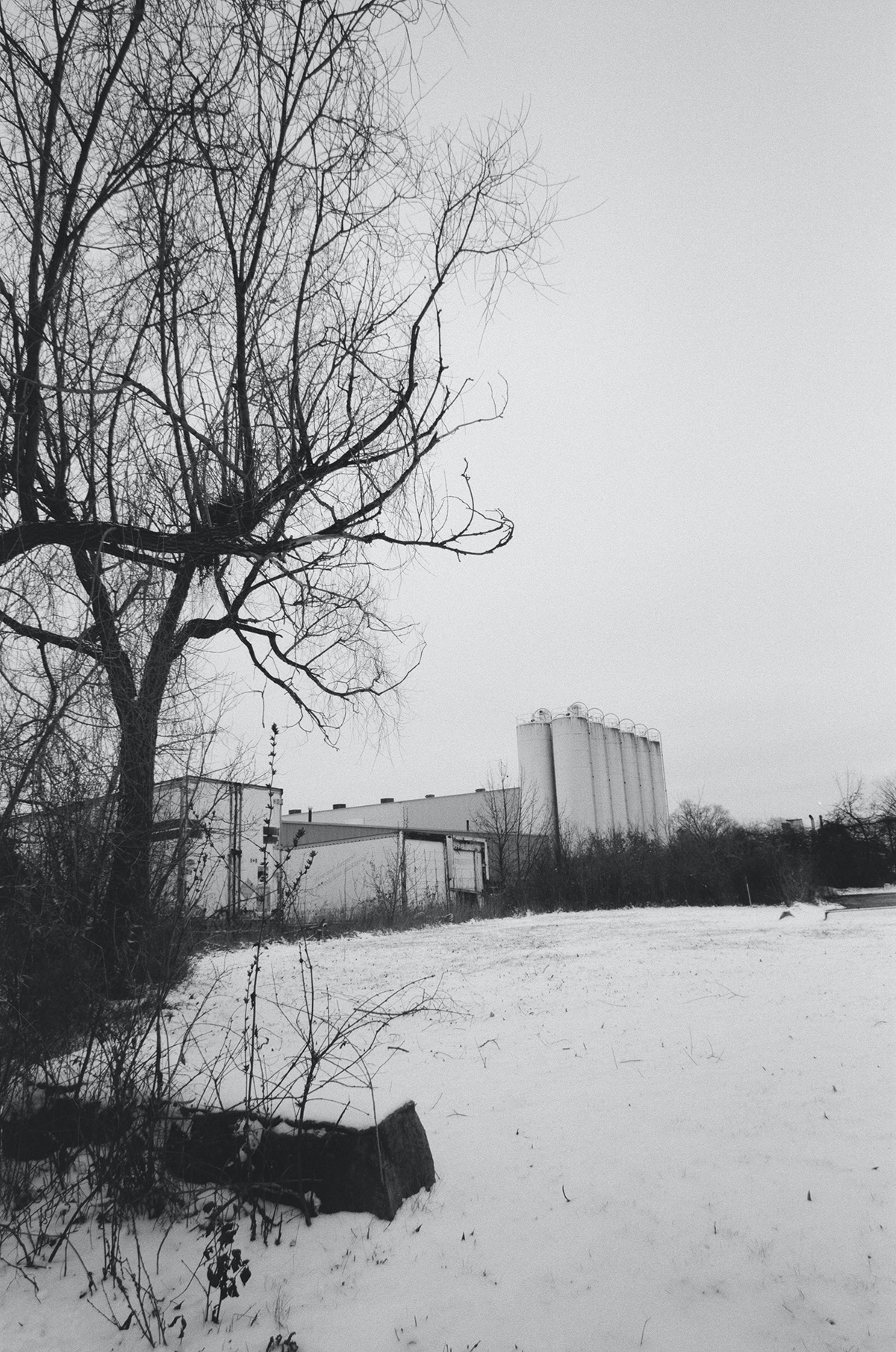 analog Film   voigtlander black and white monochrome filmsnotdead 35mm fujifilm Landscape film photography