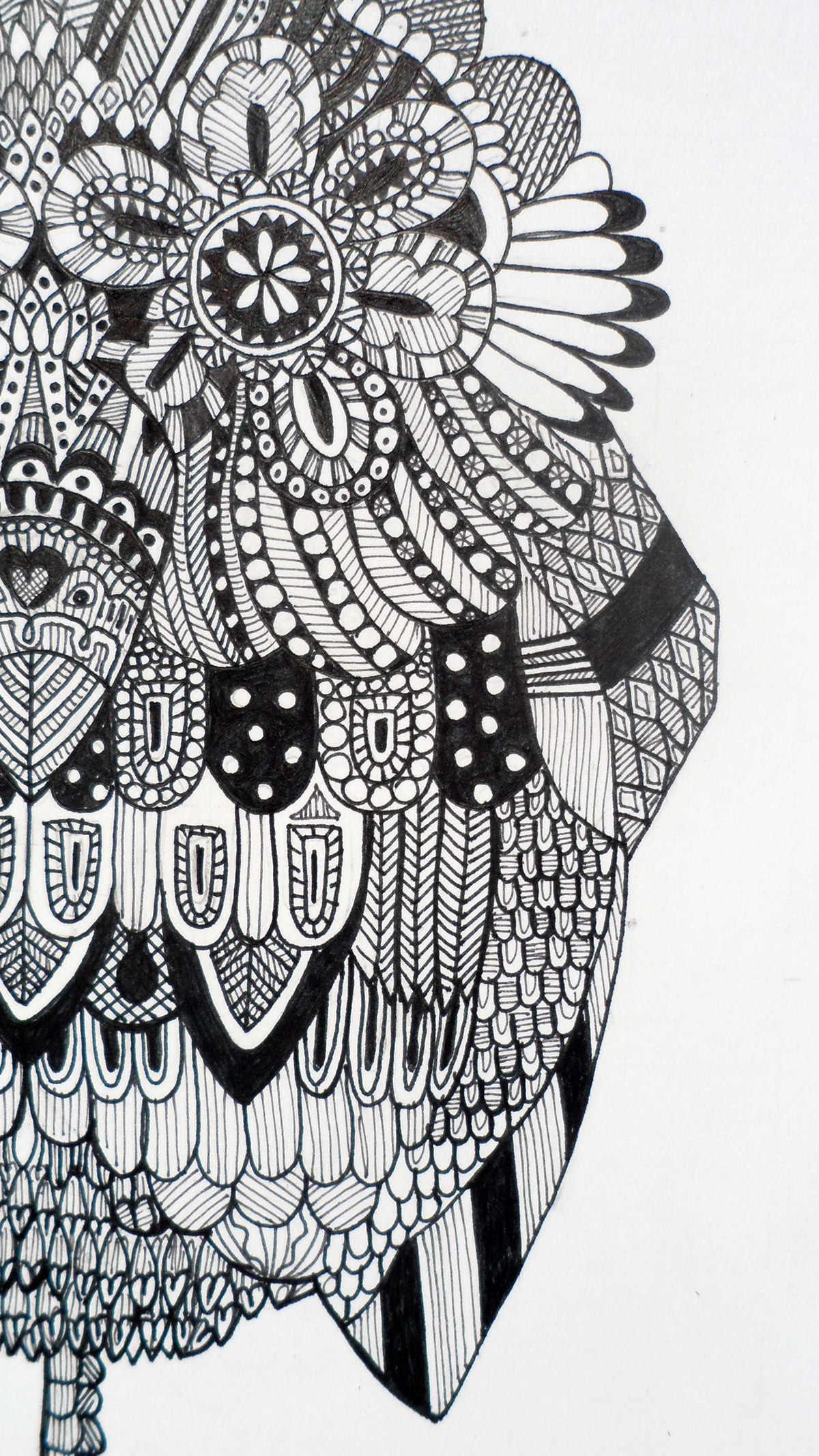 hibou owl trait noir blanc dessin illu