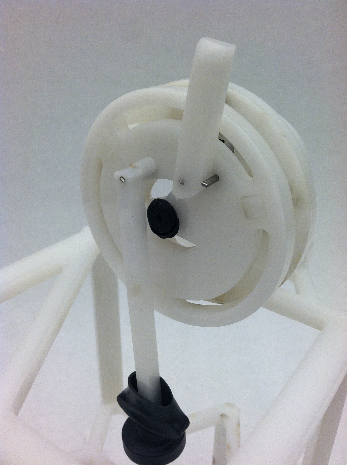Adobe Portfolio biomimicry toy children mechanical design process