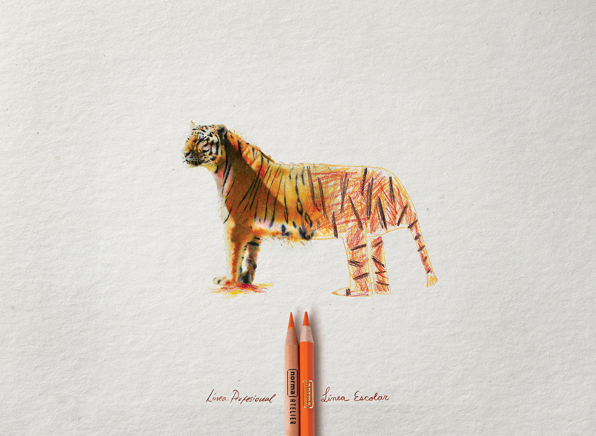 Norma Atelier draw tiger colors pencil train heroe art ddb colombia medellin craft
