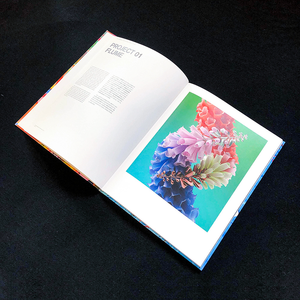 book editorial design  gasbook jonathan zawada