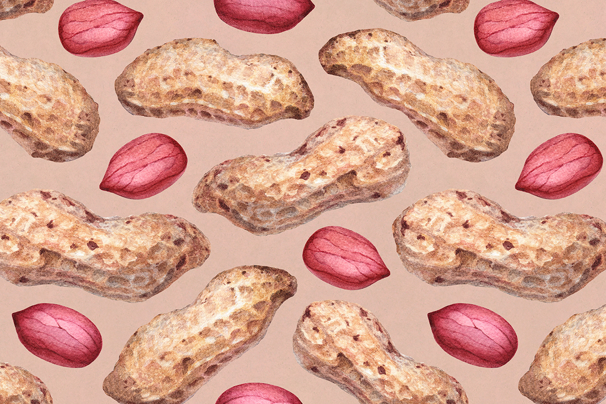 nut ILLUSTRATION  pattern design Drawing  hand drawn seamless watercolor surface texture