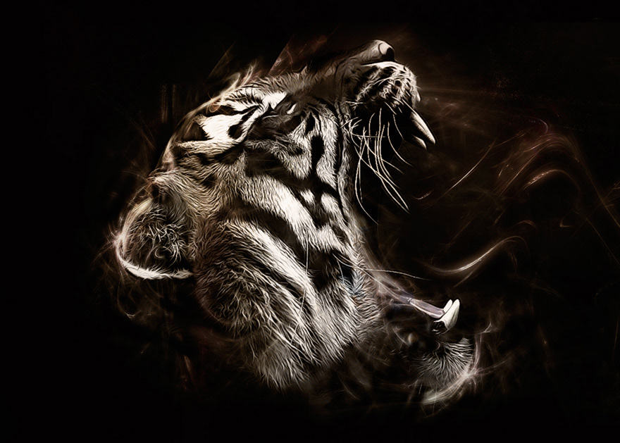 panthera tiger dark Wisp