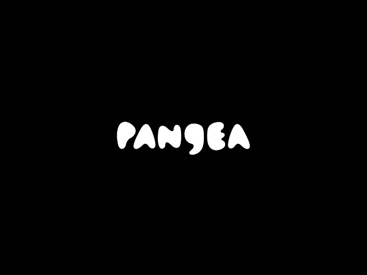logo pangea brandıng desıgn   identity