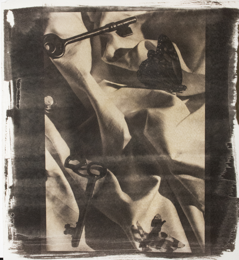 cyanotype Van Dyke palladium atlernative photography negatives large print alternative