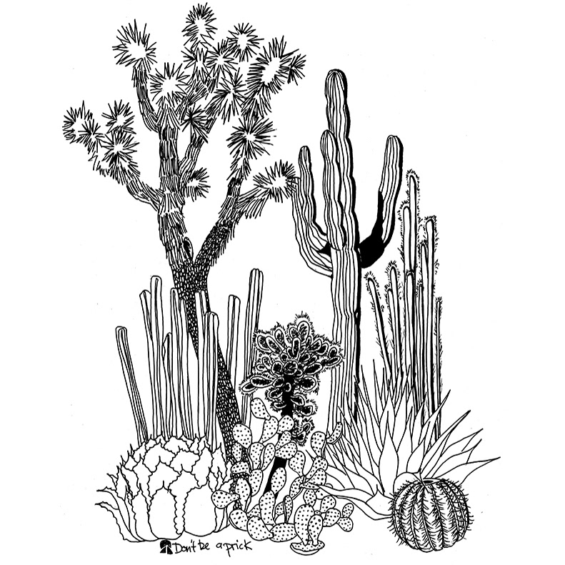 cactus Drawing  illo ILLUSTRATION  Nature Succulent succulent plants t-shirt tee tee shirt design