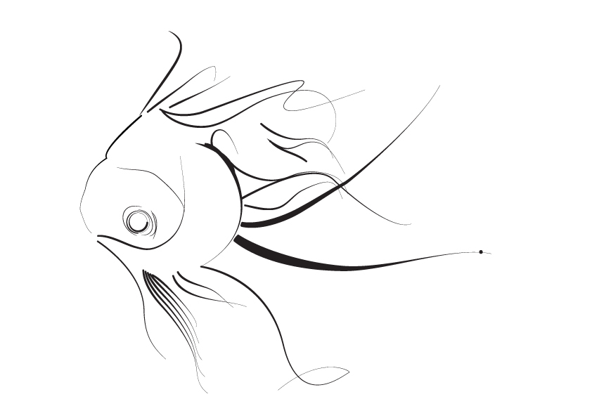 Fish Sketch. on Behance