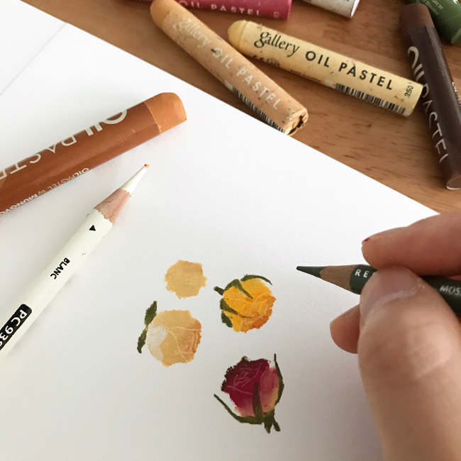 botanical flower Food  Illustrator Oilpastel 꽃그림 보태니컬 오일파스텔 음식 크레파스
