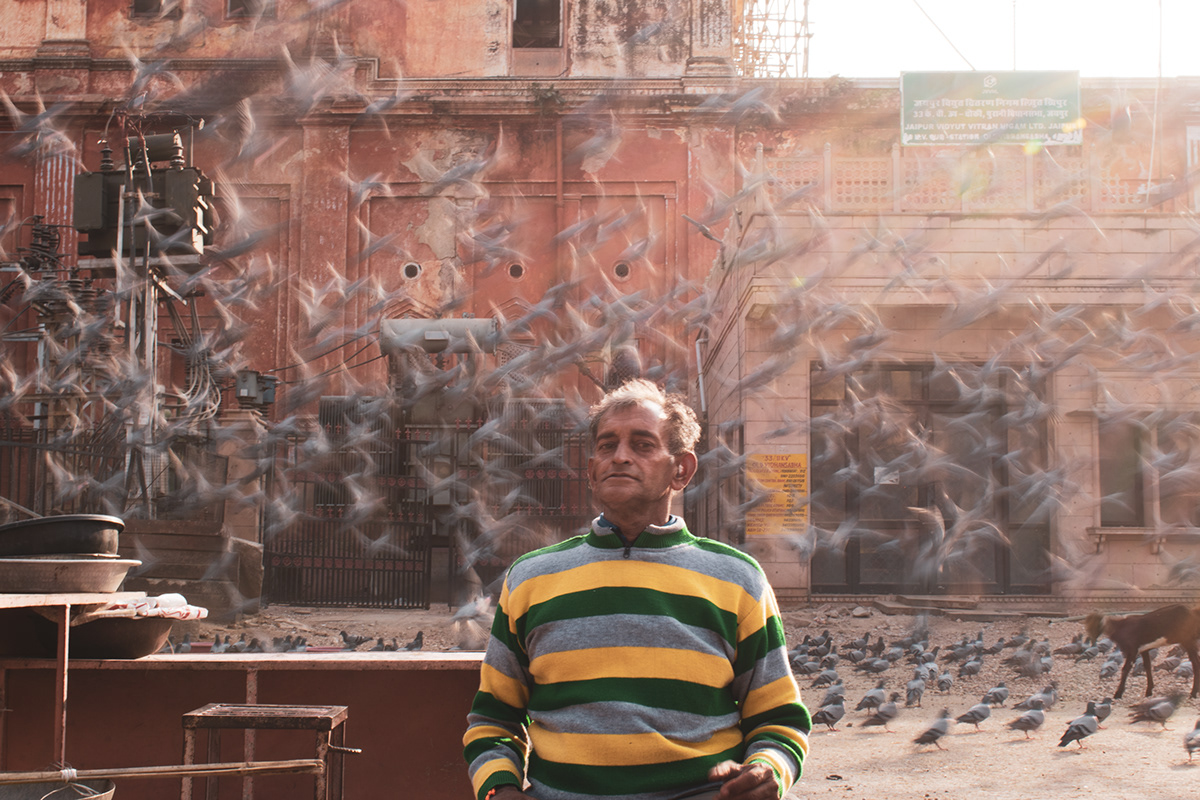 fine art photography Jaipur Kesariya lovebirds pigeons Pink City Rajasthan Slow shutterspeed street photography