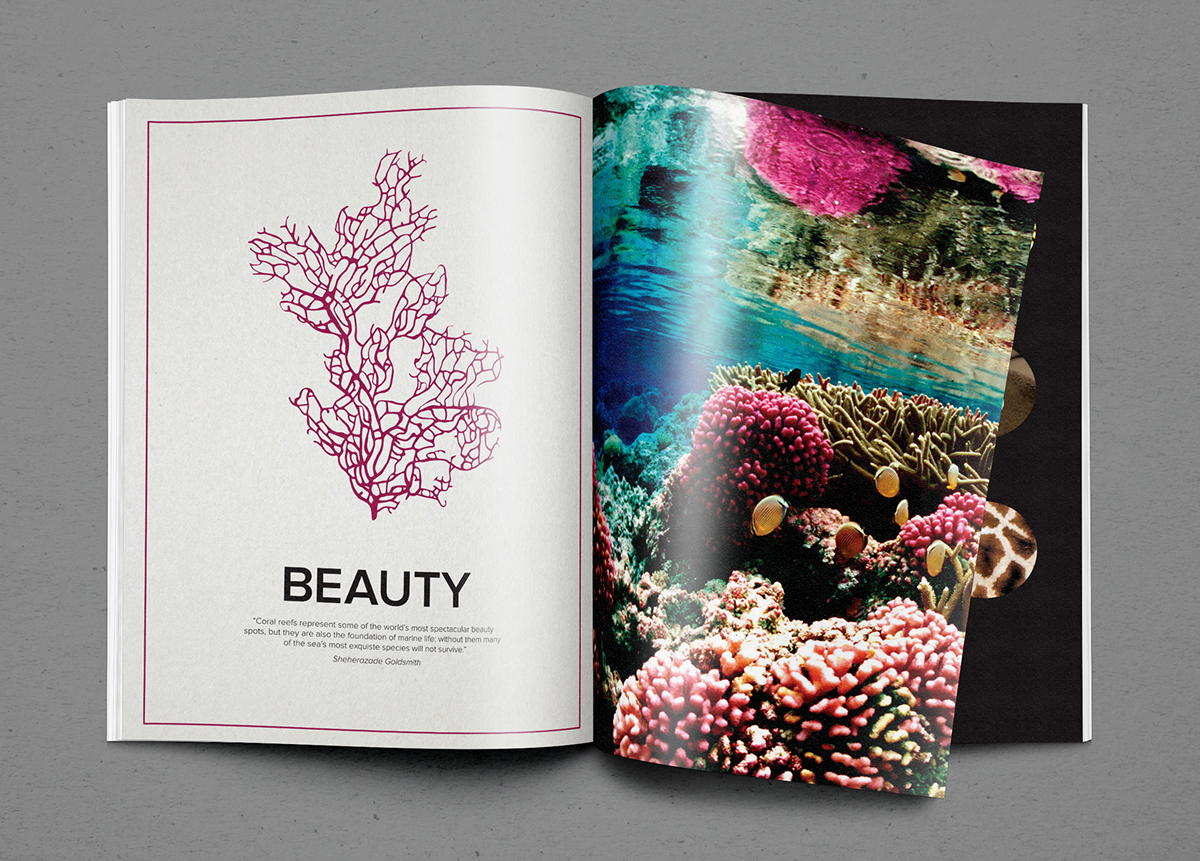 print Promotion paper Imagery Mockup spreads animals wildlife conservation Nature Beautiful colorful magazine Layout