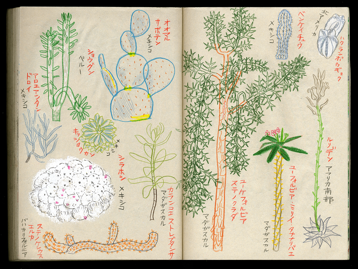 sketch スケッチ sketchbook zoo Botanical garden aquarium Landscape kyoto Studio-Takeuma
