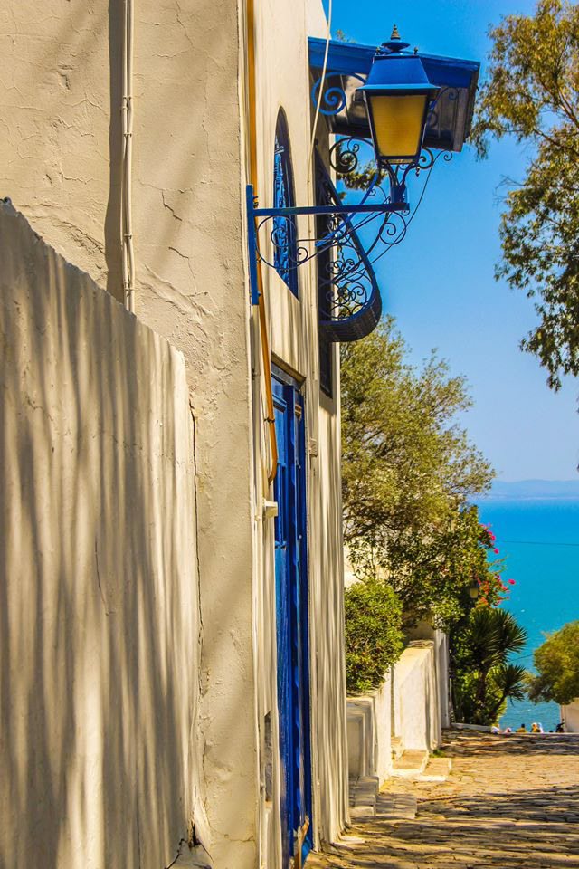 art blue door blue-sky Landscape landscape photography Photography  sidi bousaid Tree  tunis tunisia