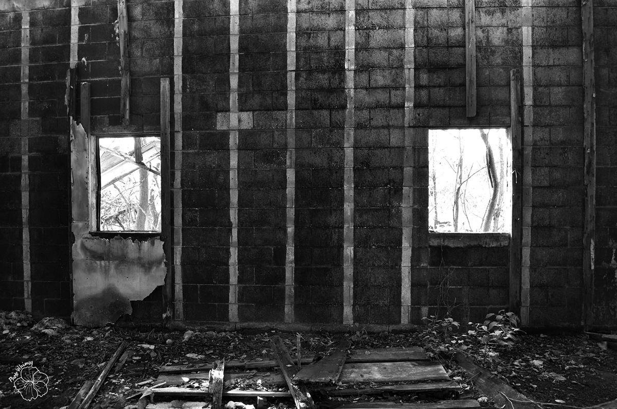 abandoned  empty  bw black and white  color  Structure  garage  Auto Body