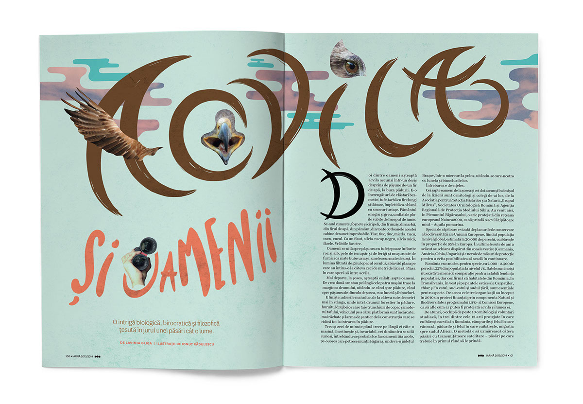 dor magazine editorial bird Handlettering Drop Cap letters Illustrative type lettering handlettered textures lines