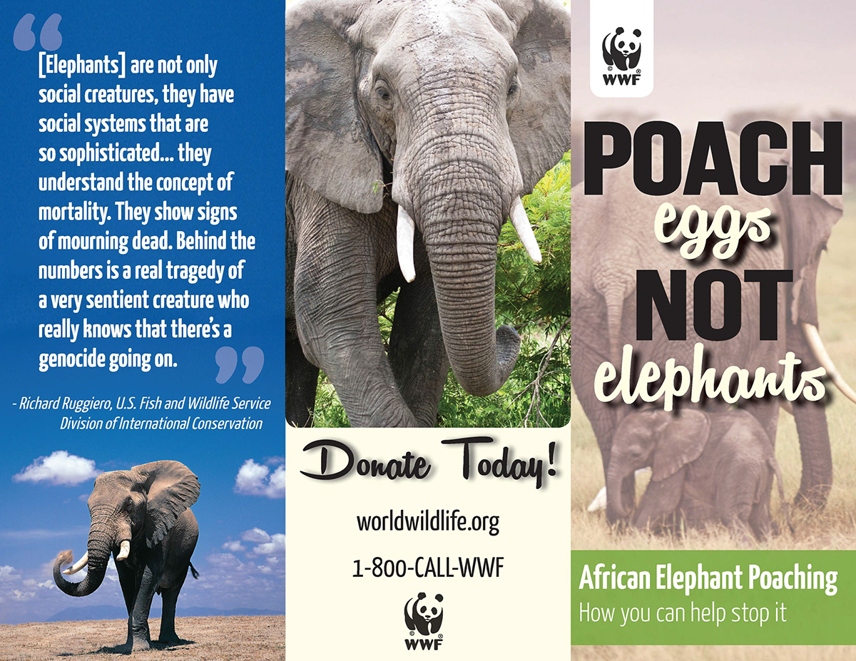 WWF World Wildlife Fund elephants poaching