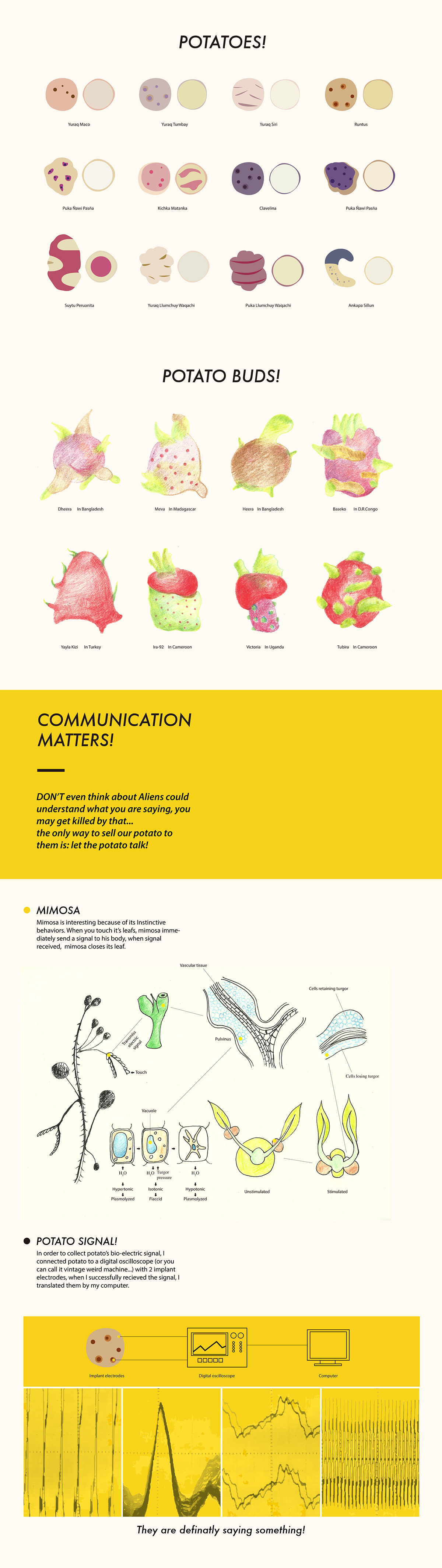 Inforgraphic information design poster potato alien imagination interactive design tactile digital outer space Creativity