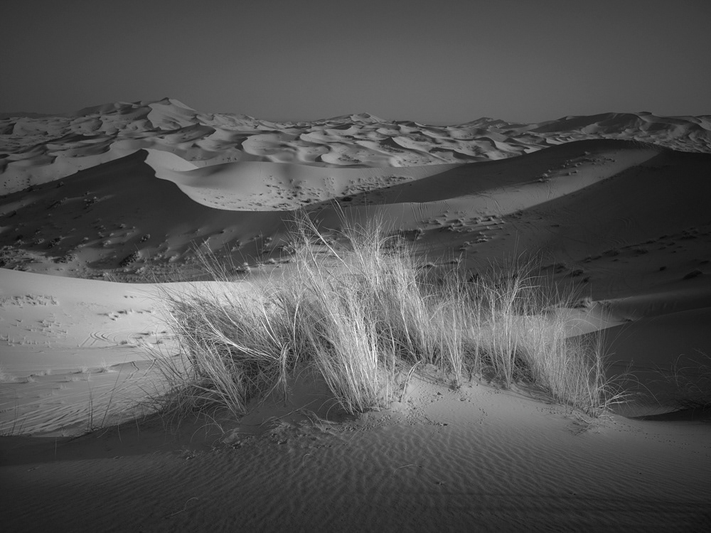 Morocco sand dunes archaeological Volubilis Moulay Idriss Zerhoun Erg Chebbi marzouga