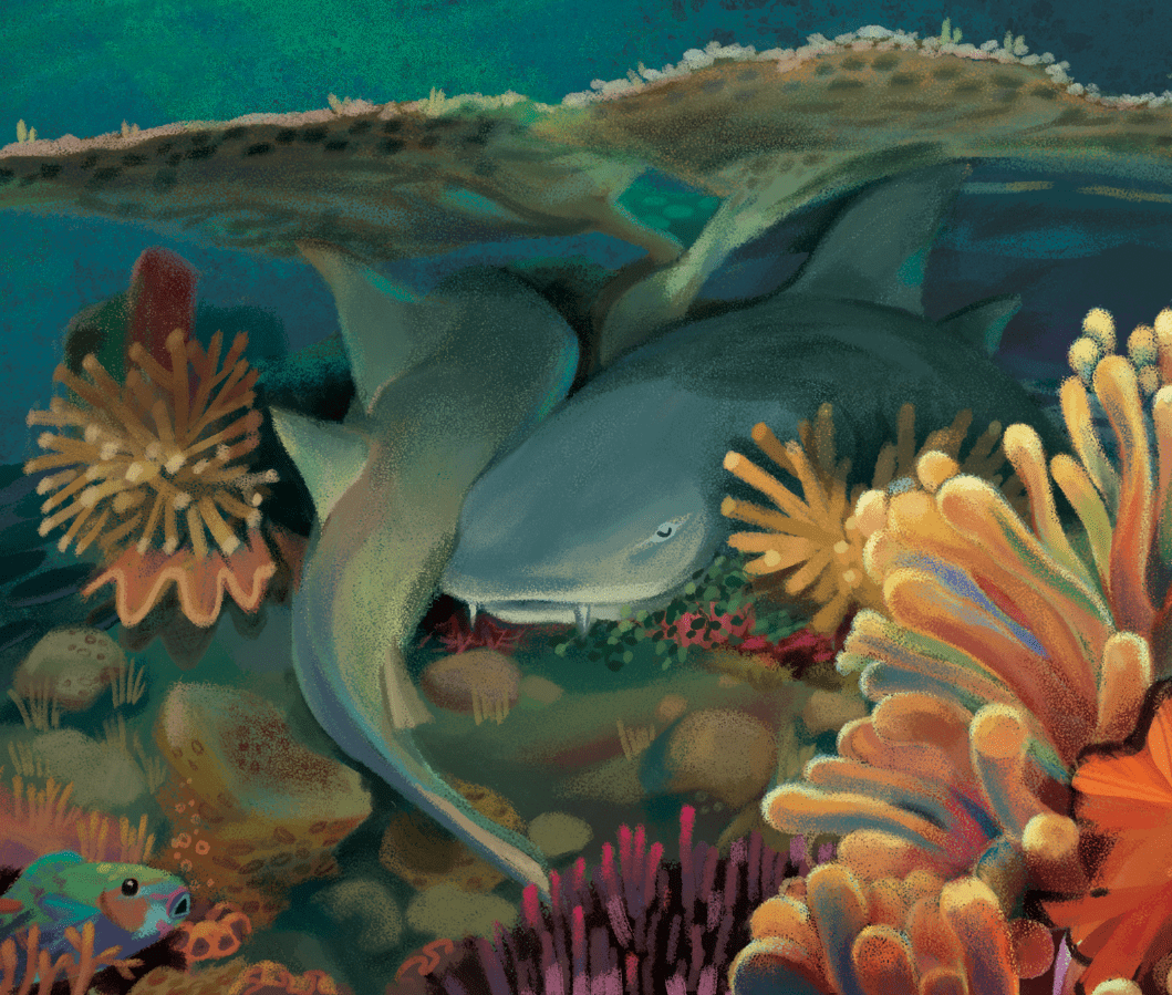 children illustration children's book Clownfish kidlit kidlitart oceanfloor Picture book sharks underthesea underwater