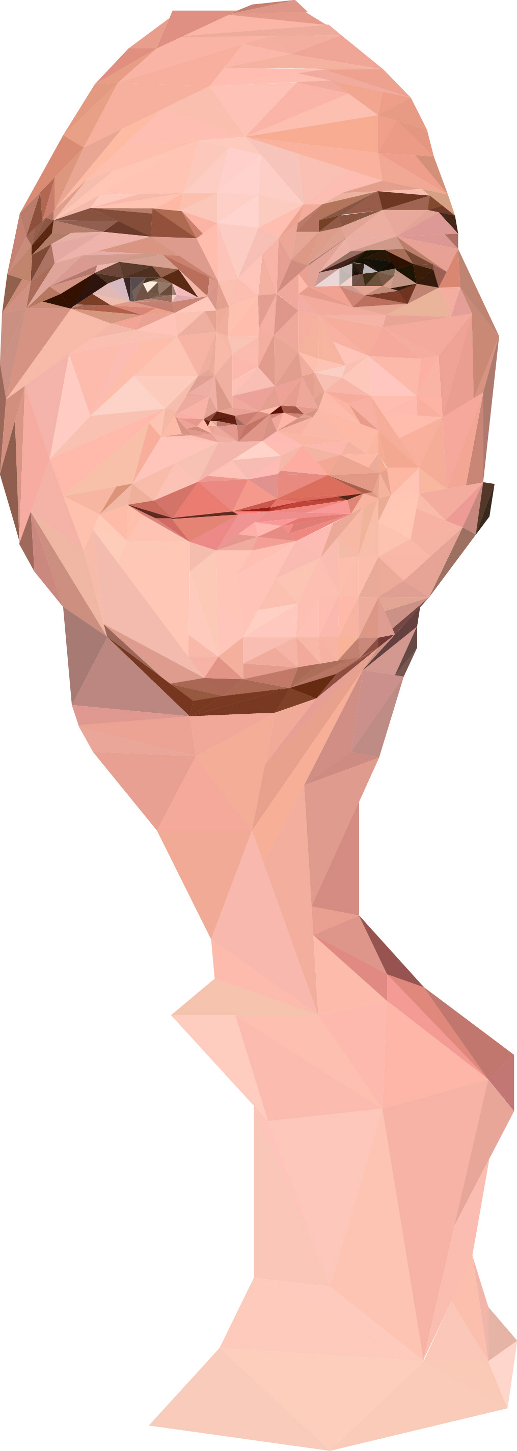 Lana Del Rey Icon poligonal portrait woman artwork adobe illustrator vector