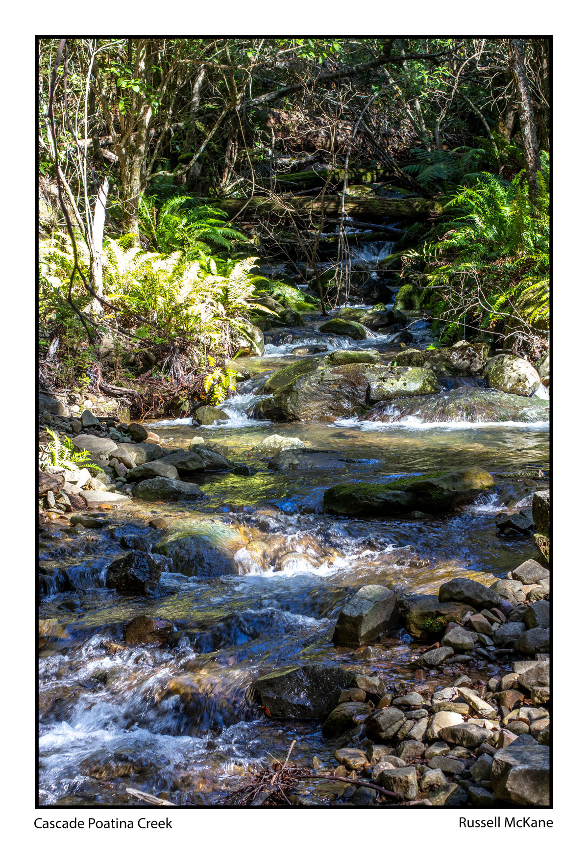 #poatina #poatinavillage #rainforest #Tasmania #water  