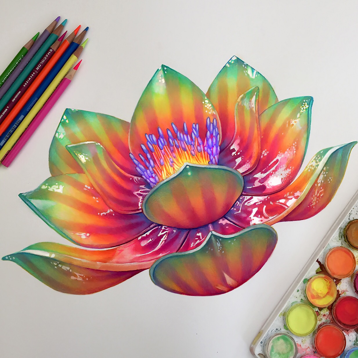 Lotus Flower (Colored Pencil) Art Print by Dan Bingham | Society6