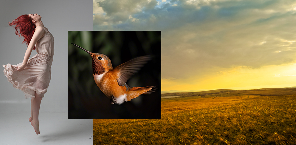 #retouch #retoucher #photoshop #digital   #manipulation #conceptual #flight #Creative #fantasy #spiritual   #woman #female   #beauty   #hummingbird #bird 