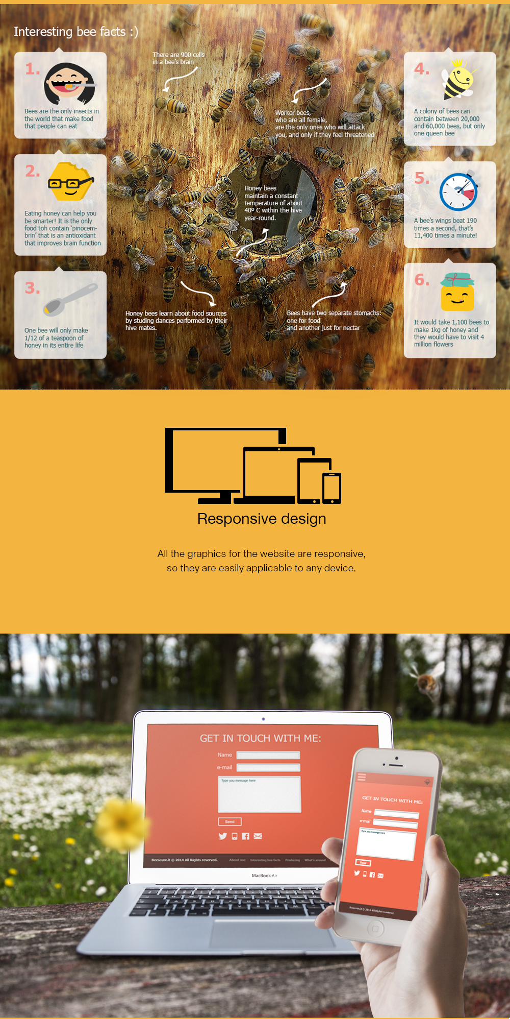 Beekeeper farm honey bees Responsive web-design cute