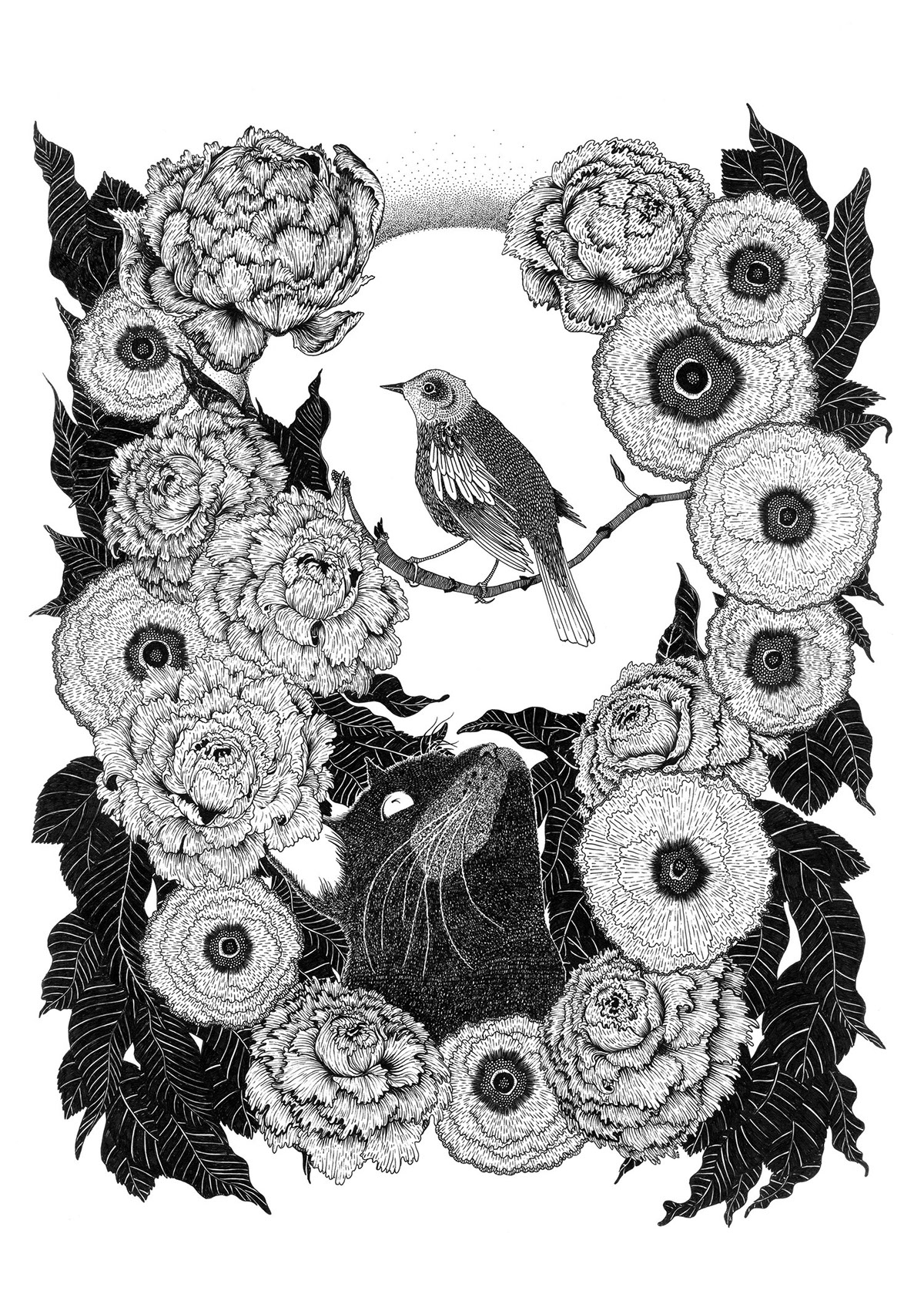 Cat bird pen detailed Flowers romance black and white texture selfportrait art