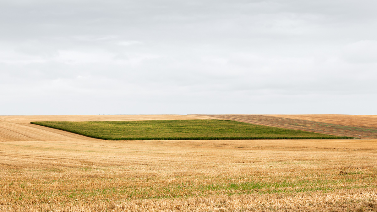 field fields agriculture rural countryside Landscape transformed landscape fine art minimal Minimalism emptyness contemplation Photography 