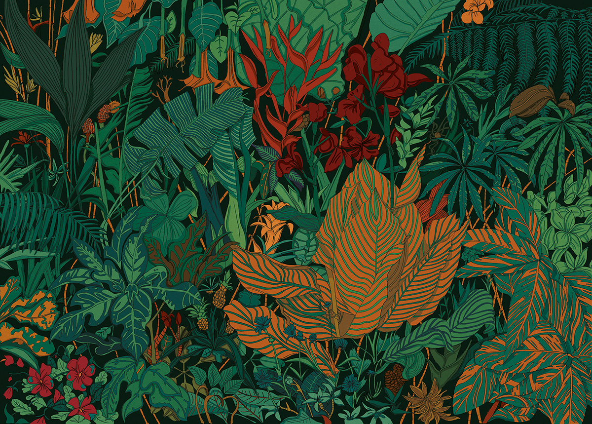 jungle colours plants trees Day night wild intothewild jungle fever rainforest