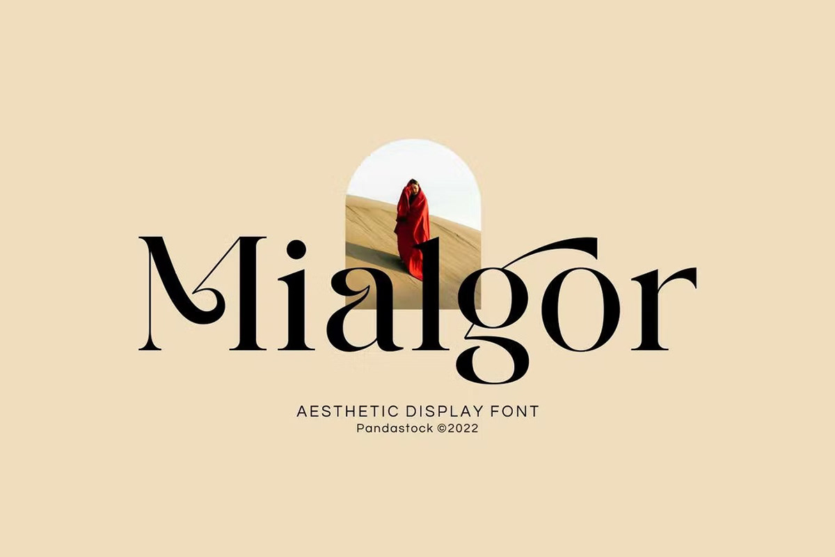 branding  Display display font featured font logo Logo Design popular Typeface typography  