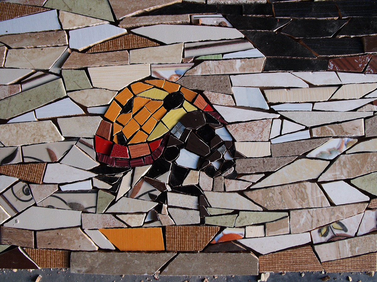 iguana iulian moldovan  Glappy  mosaic