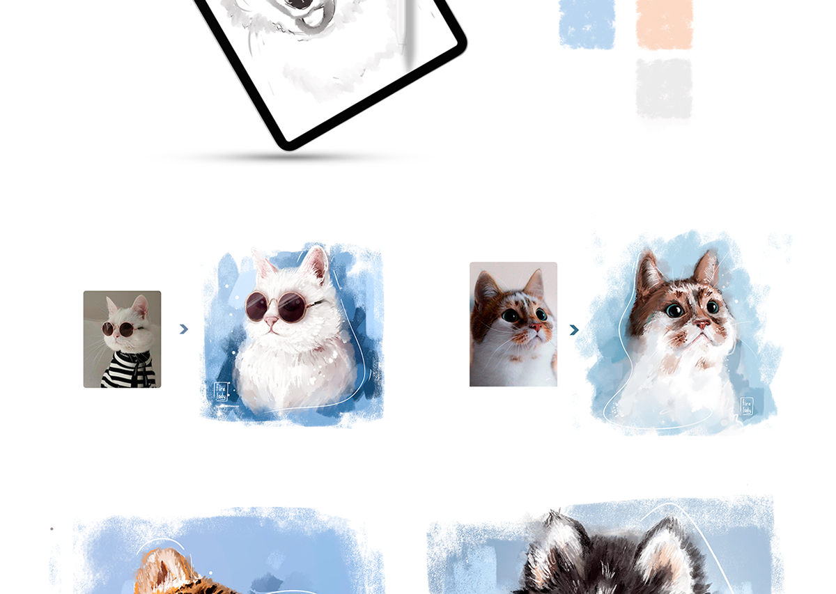 animals brand Cat FOX Pet petshop portrait poster print