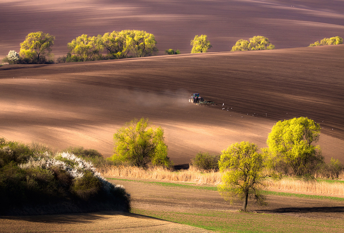 Moravia Czech Czech Republic field fields color wave Travel art green Nature Landscape