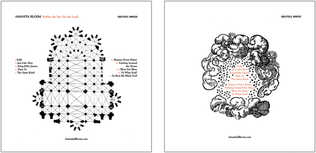 Amanita Bloom vinyl Vinyl Cover