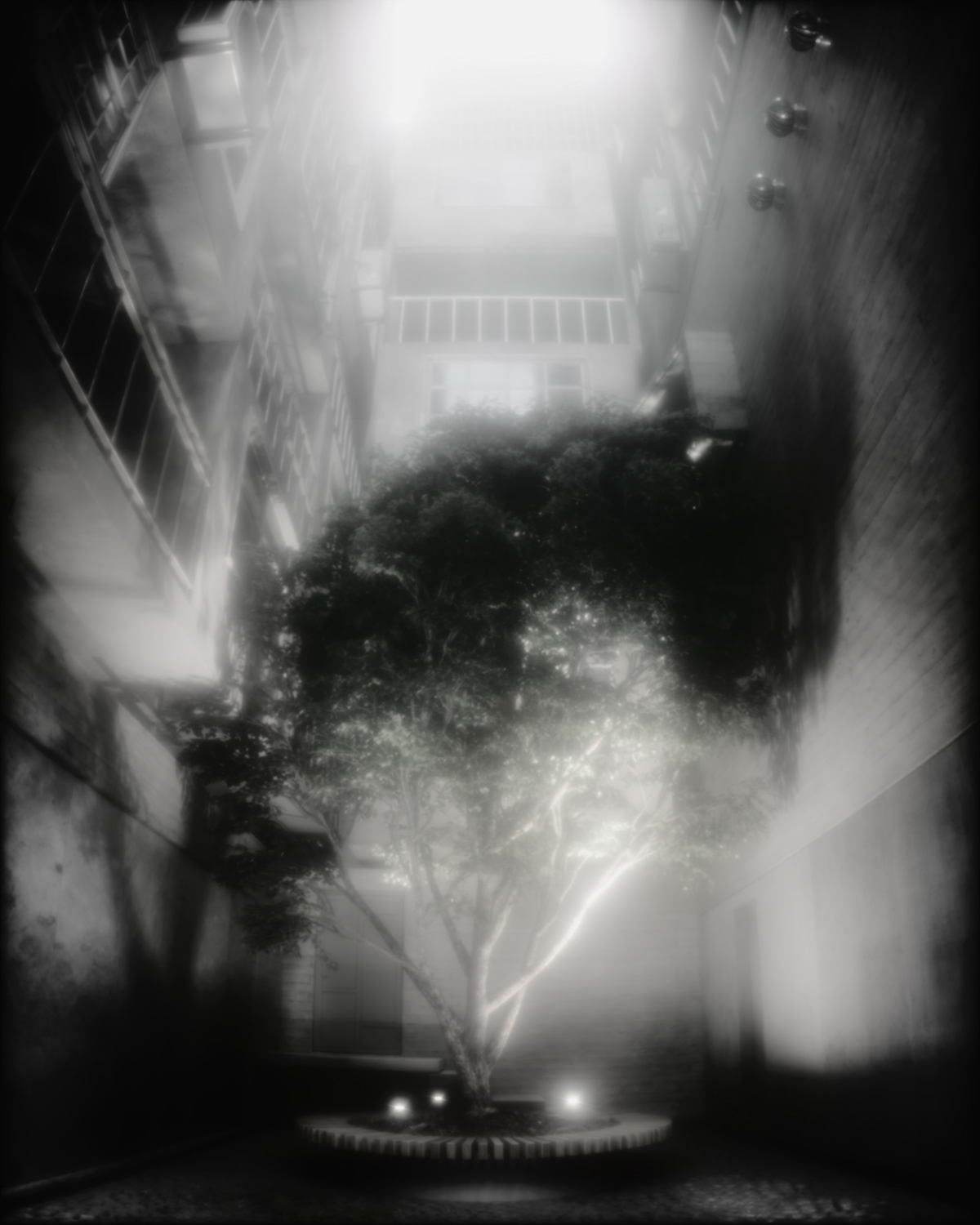 black white car render Film   fish eye street haze fog skyscraper smoke tokyo visualization