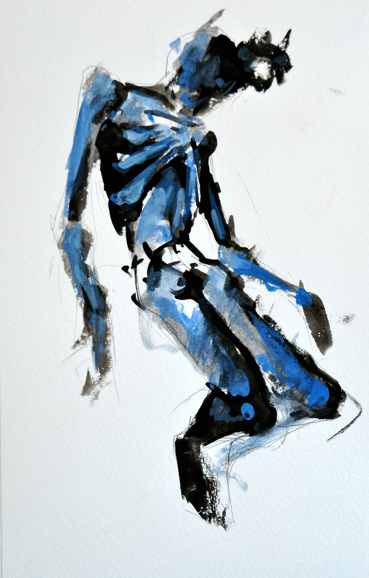 figure anatomy human skeleton small