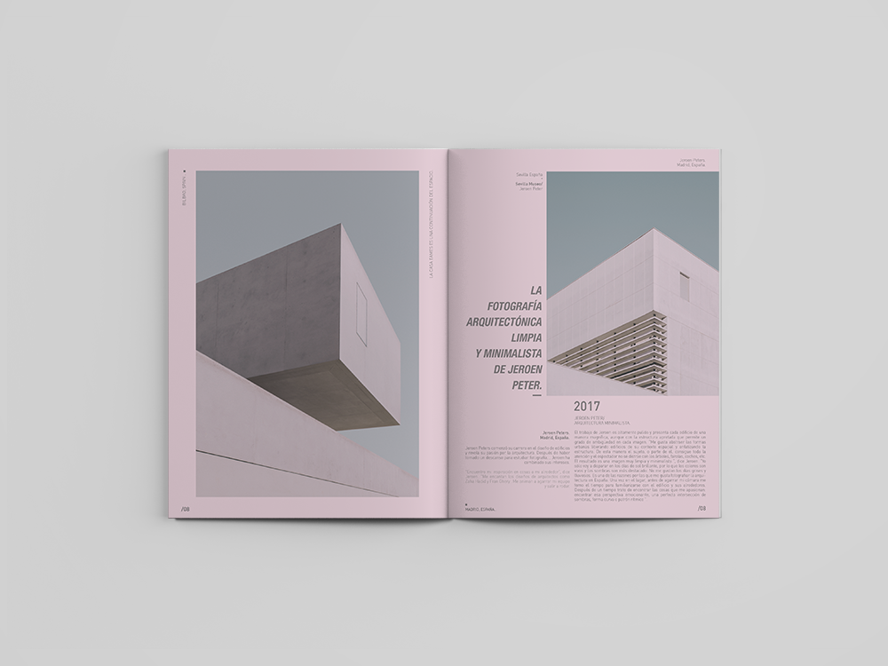 magazine logo editorial architecture book type typography   revista impresion logofolio