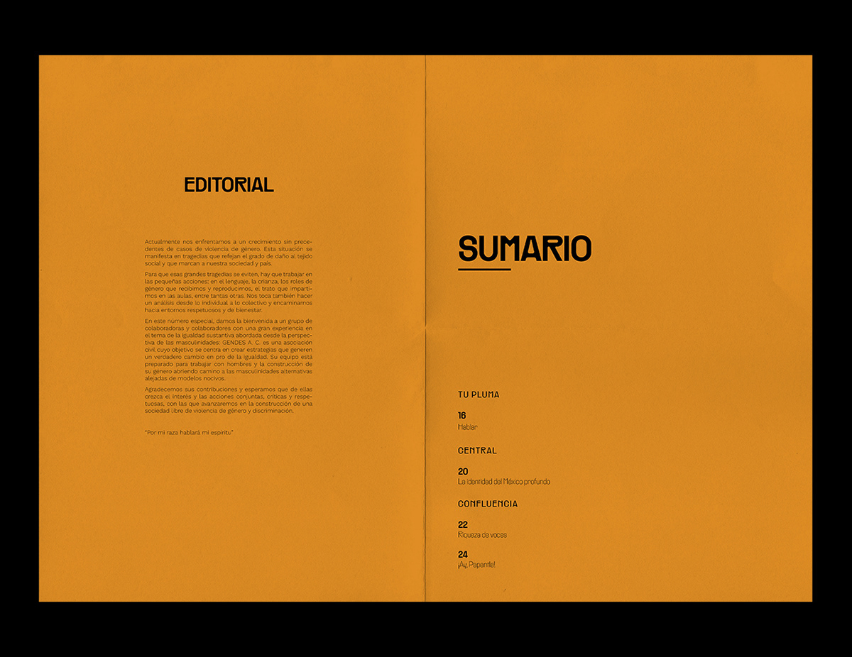 editorial brochure book design gaceta unam