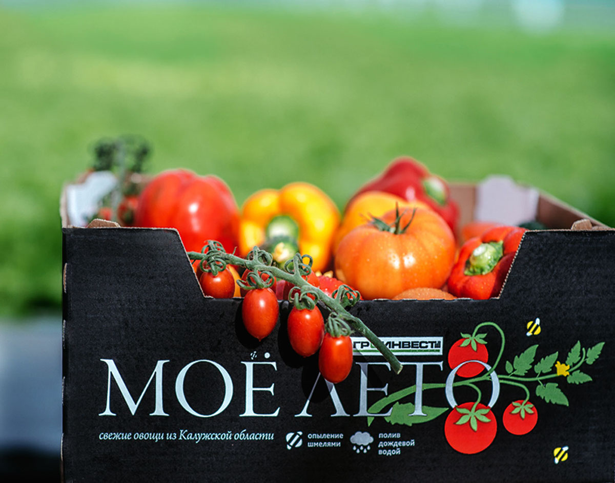 branding  branddesign vegetablespackaging packagingdesign Packaging tomatopackaging moeleto