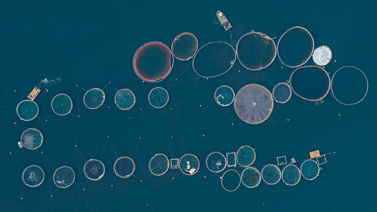 Aerial fish farms Greece aerialviews sea
