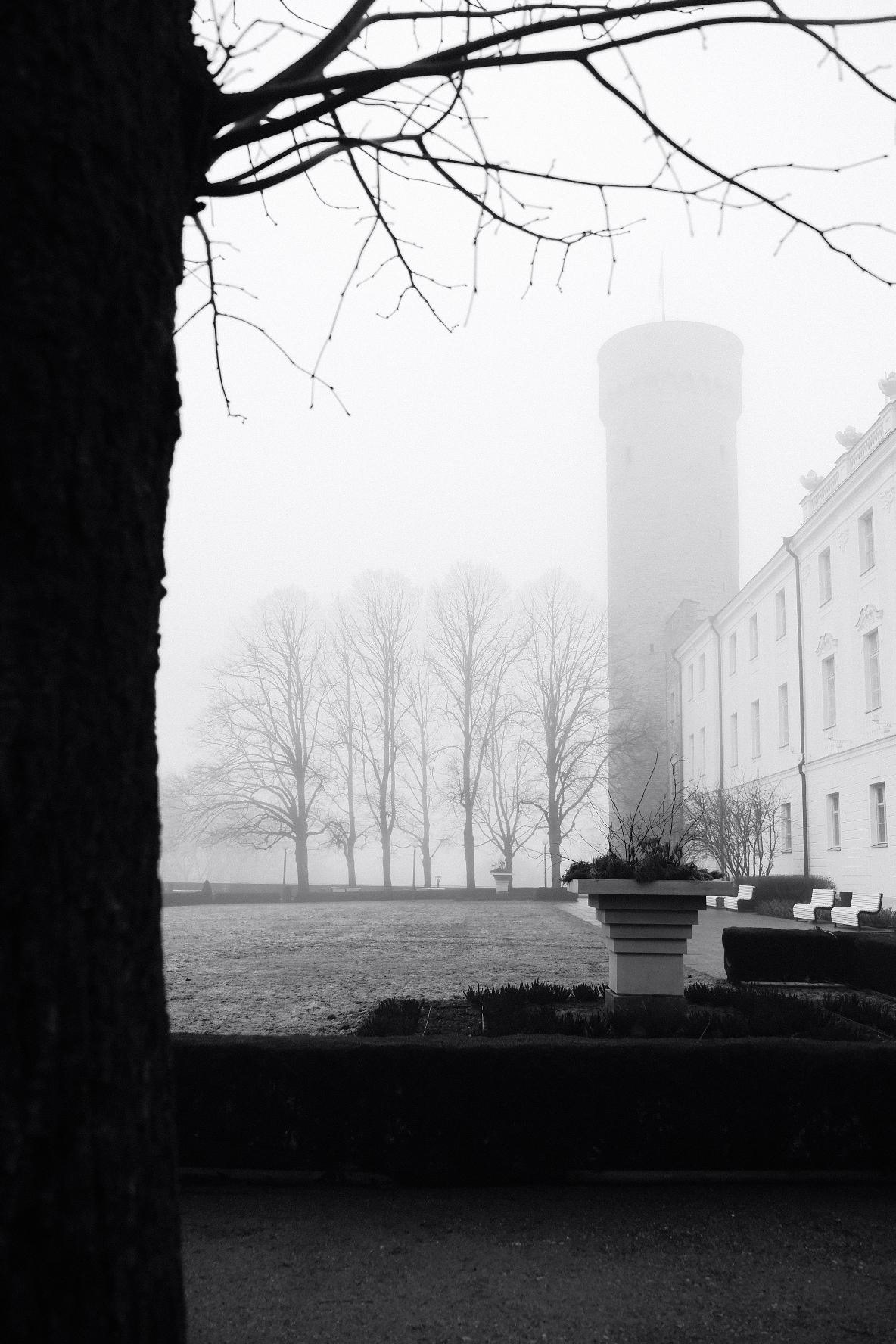 streetphotography foggy Tallinn Estonia black and white photographer architecture Heritage Building old tallinn