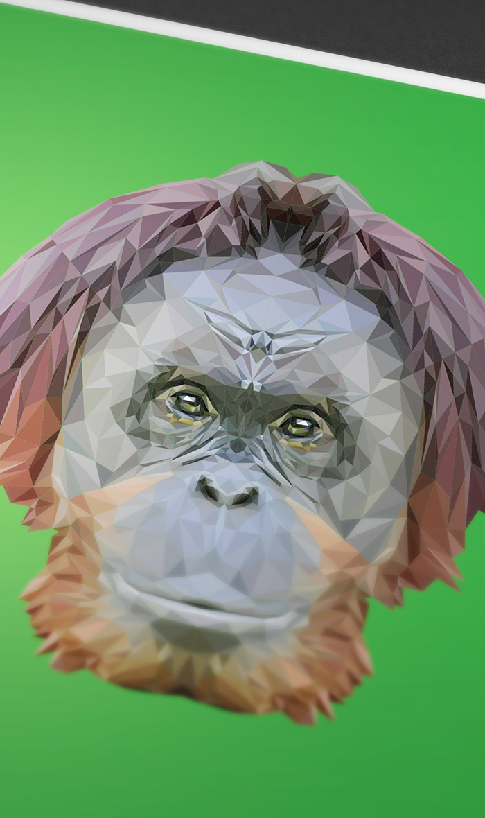 orang hutan orang hutan face anamoly aniline indy-visual.com polygon line animal face