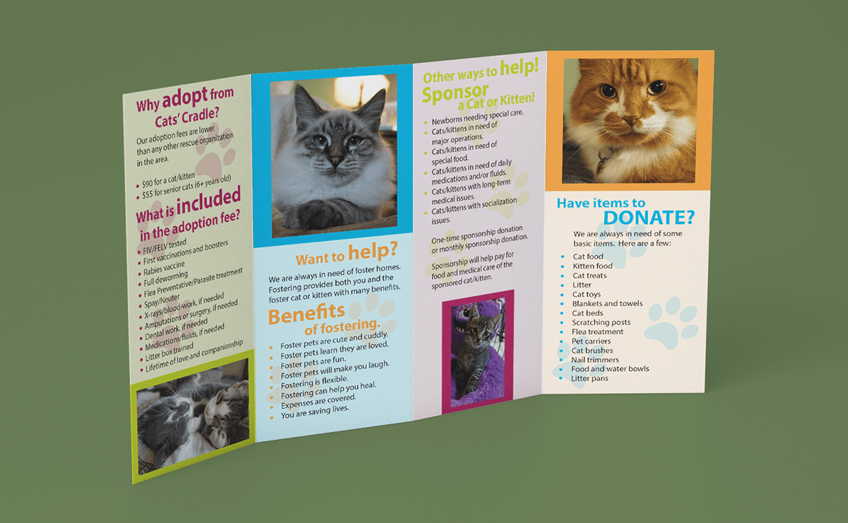 Brochures Flyers For The Cats Cradle On Behance