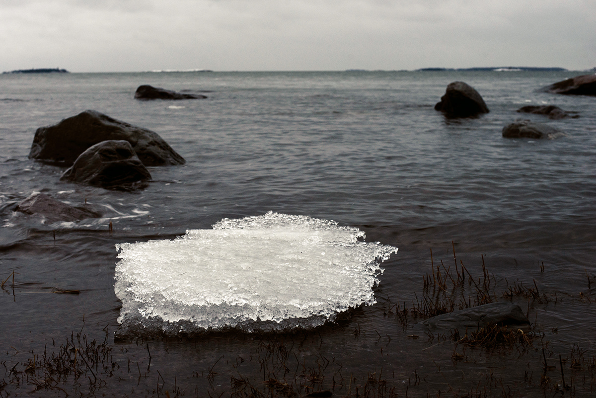 snow baltic sea ice rock water weed grass helsinki finland lauttasaari