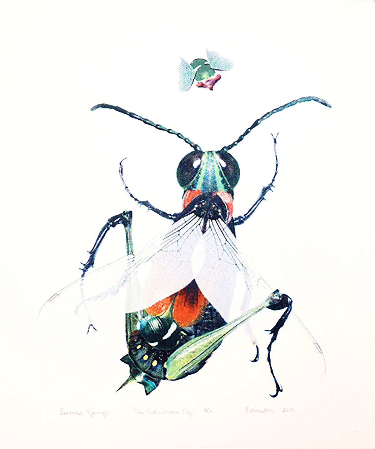 Nature bugs insect collage screenprint poster