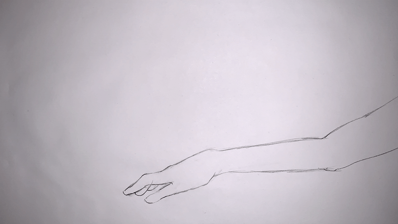 animation  framebyframe hand-draw