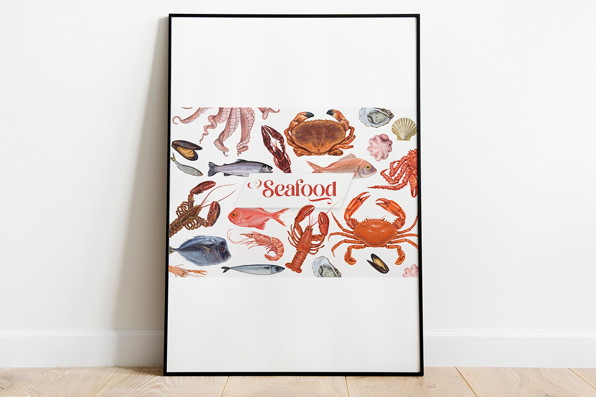Seafood illustrations. on Behance