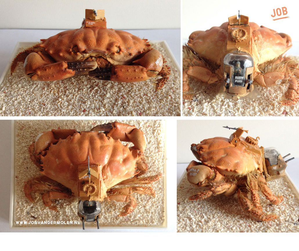 insect army job van der Molen taxidermy bizarre animal insect crab Tank machine tecnique
