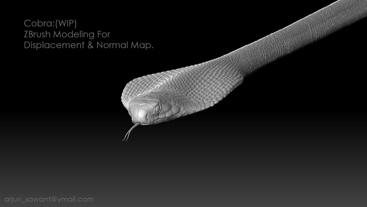 Zbrush texturing cobra 3D CG vfx Show reel snake indian cobra